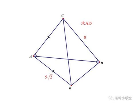 只有一個直角的四邊形